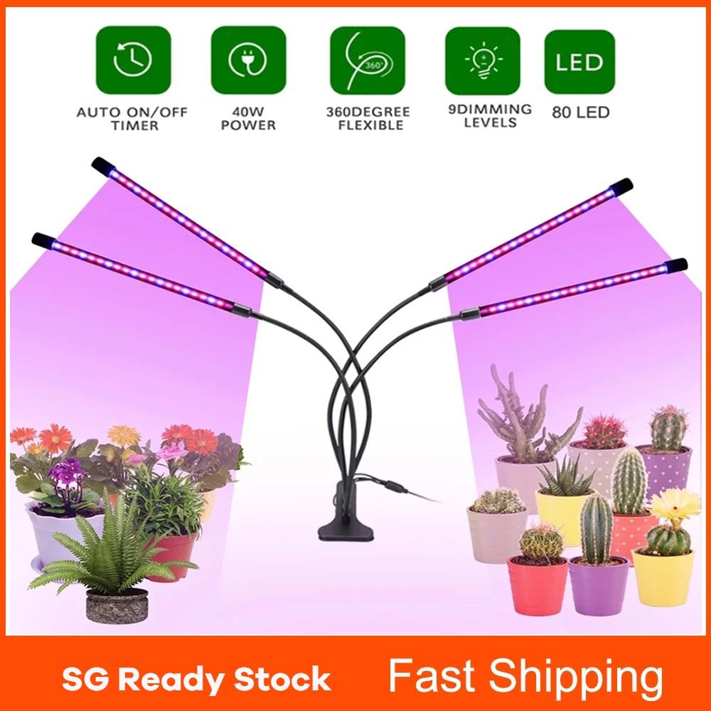 Rumahhome_LED Grow Light USB Phyto Lamp Full Spectrum With Control For Plants Seedlings Flower Indoor Plant nursery lamp